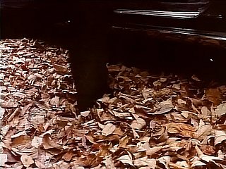 Aroma Unclothed (1985, AS, filem 35mm, Taija Rae, DVD RIP)