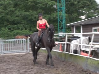 Śliczne nastolatki z Holandii są imported i gotowy do jazdy konie