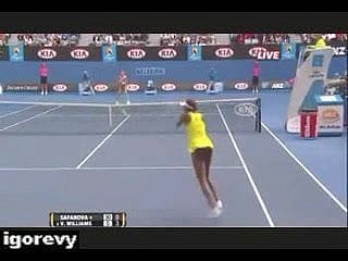 Venus Williams -  Upskirt Picayune Panties Above Tennis Court